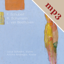 Julius Schwahn, Violine; Antonis Anissegos, Klavier
